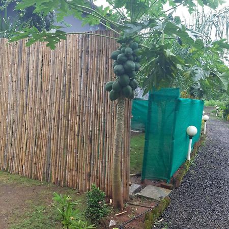 River Ranch Saralgaon Bagian luar foto
