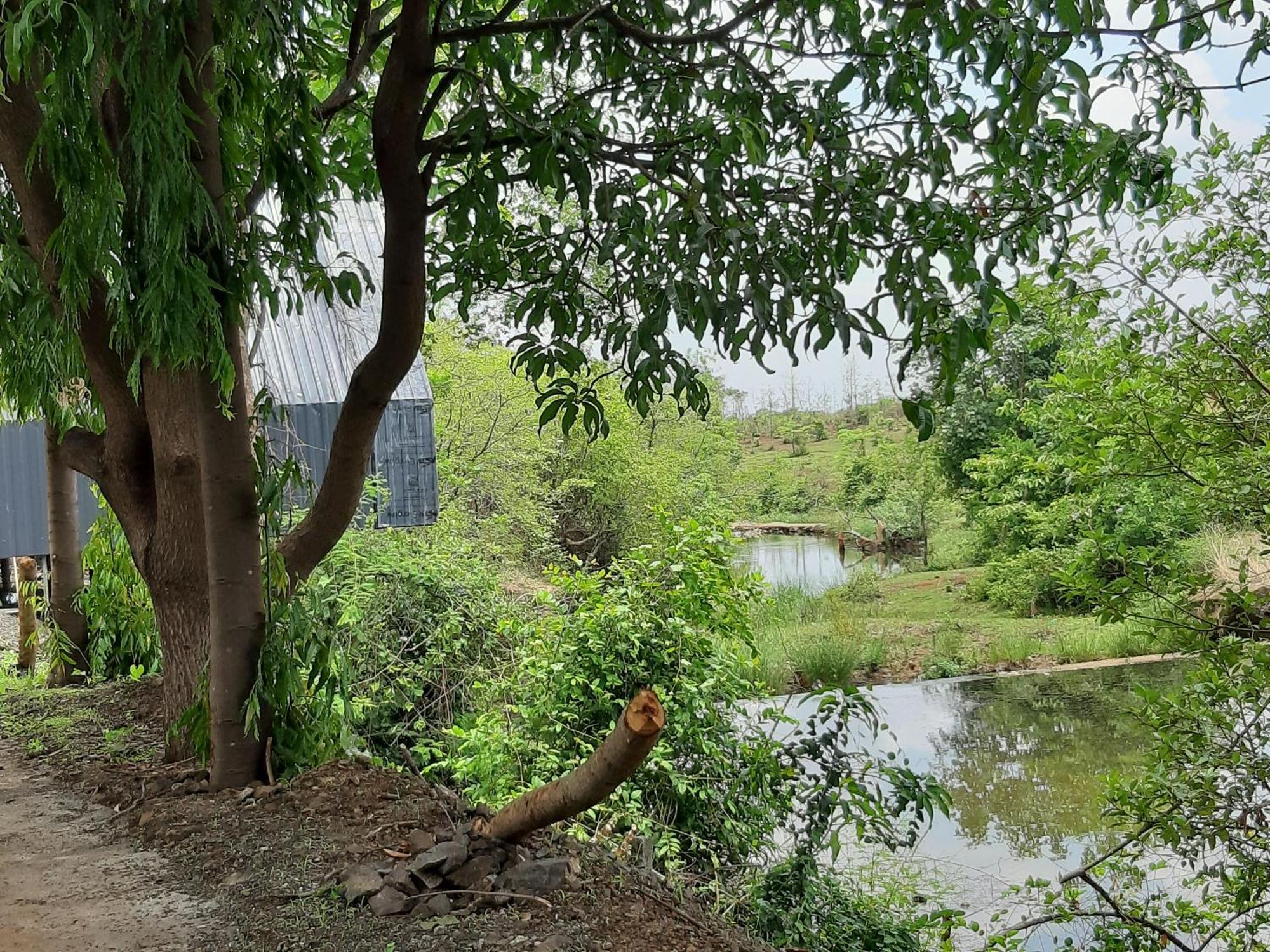 River Ranch Saralgaon Bagian luar foto